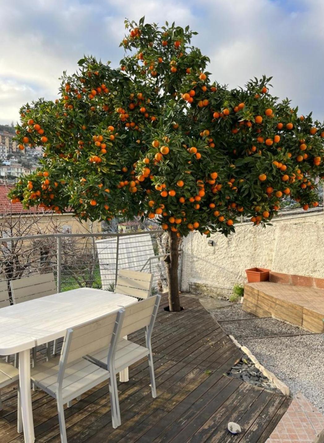 Villetta Fioregreco Sanremo Dış mekan fotoğraf