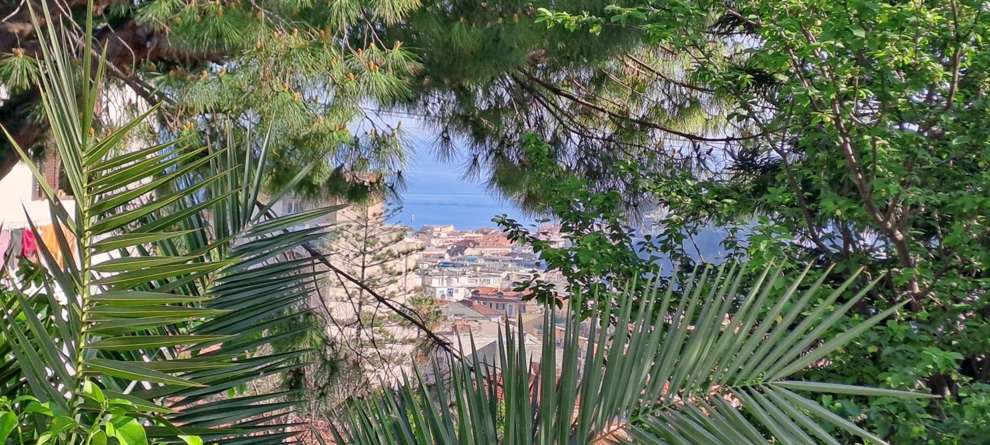 Villetta Fioregreco Sanremo Dış mekan fotoğraf